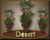 [my]Desert Plant in Pot