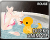 |2' Ducky !n Tub