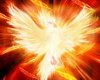 Phoenix Fire Claws/Talon
