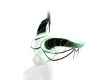 [Mae] Shiny Green Horns