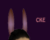 CKE HotCoCo Ears