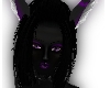 Black an Purple Tail M/F