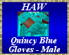 Quincy Blue Gloves - M
