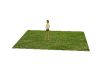 grass rectangle
