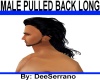 MALE PULLED BACK LONG
