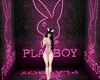 playboy Background