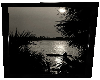 Florida Black/White Art