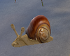 Sea Snail Chair