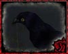 [ML]Crow2