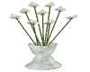 Calla Lilies/ white vase