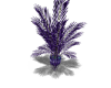 Pot violet