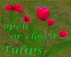 Animated Tulips 
