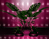 *A*Pink-Plant