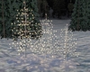 Lighted Trees