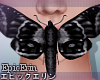 [E]*Giant Black Moth*