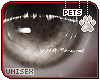 [Pets] Fai | eyes v2