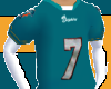 Dolphins Henne-Jersey