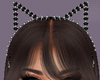 Cat Brown