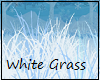 White Grass