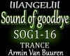 The Sound of Goodbye