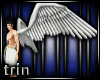 Icarus Wings M/F