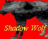 Shadow Riding Wolf