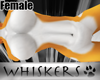 Whiskers ~Fidgetkini