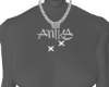anika custom