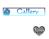Dolphin-Gallery