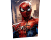C, Gamer 54