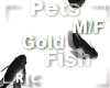 R|C Gold Fish Black M/F