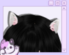 black cat ears