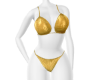 𝕾 Gold Bikini