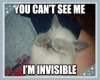 you cant see me