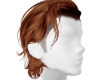 Read Ginger