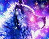 QUADRO LOBO GALATICO