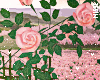 n| Rose Arch Pink