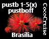 (CC) Brasilia-Pusteblume