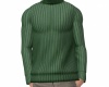 Cozy Warm Sweater Green