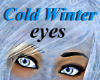 Cold Winter Eyes