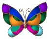 mariposa multicolor