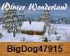 [BD] Winter Wonderland