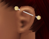*TJ* Ear Piercing L S Go