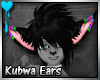 D~Kubwa Ears: Black(M/F)