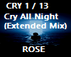 Cry All Night  RMX