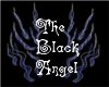 Black Angel Bundle