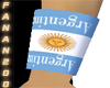 argentina 2010