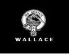 Wallace Clan Tee