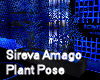 Sireva Amago plant pose