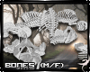 !F:Bones: Floor Bones